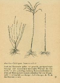 Bild 9211