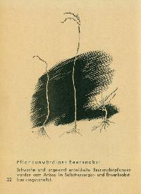 Bild 9212