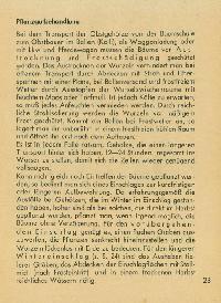 Bild 9213
