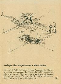 Bild 9227