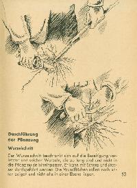 Bild 9243
