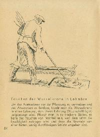 Bild 9244