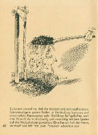 Bild 9250