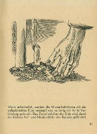 Bild 9251