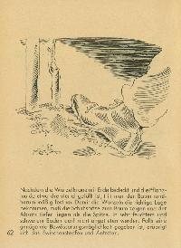 Bild 9256