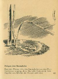 Bild 9257