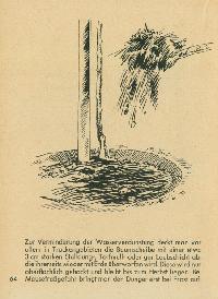 Bild 9258