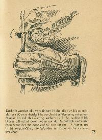 Bild 9265