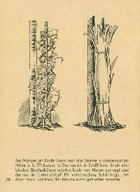 Bild 9268