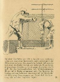 Bild 9271