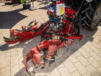 Bild 9294