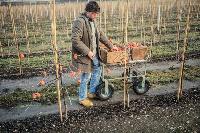 Bild 9349