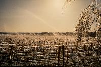 Bild 9420