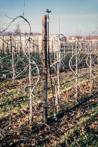Bild 9423