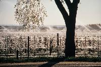 Bild 9425