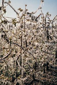 Bild 9426