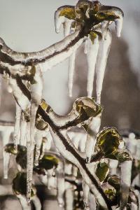 Bild 9427