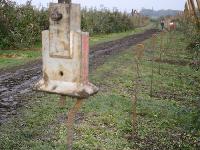 Bild 9540