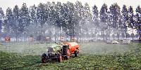 Bild 9593
