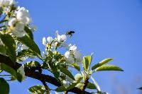 Bild 9613