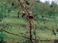 Bild 9643