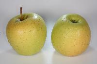 Bild 9652