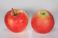 Bild 9653