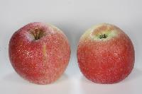 Bild 9657