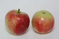 Bild 9662