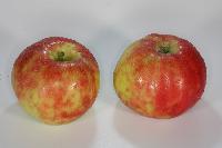 Bild 9663