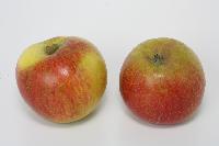 Bild 9665