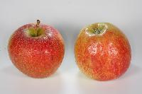 Bild 9666