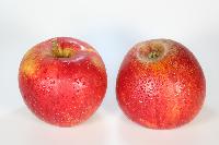 Bild 9668
