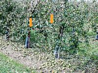Bild 9695