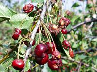 Bild 9698