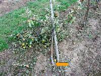 Bild 9703