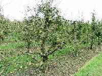 Bild 9709