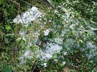 Bild 9711