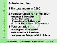 Bild 9715