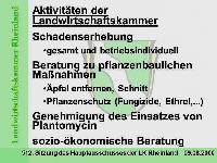 Bild 9717