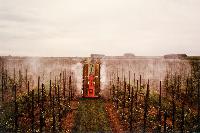 Bild 9728