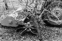 Bild 9759