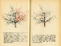 Bild 9847