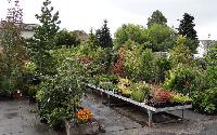 Bild 7569