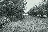 Bild 10057