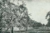 Bild 10063