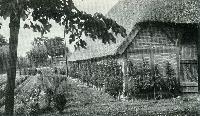 Bild 10064