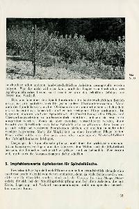 Bild 10092