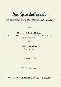 Bild 10078