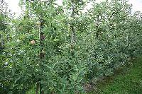 Bild 10427
